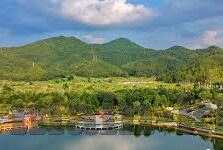 足球比分精彩-绿茵烽火，那些令人血脉偾张的足球比分奇迹